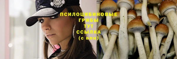 ECSTASY Алексеевка