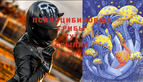 СК Абдулино