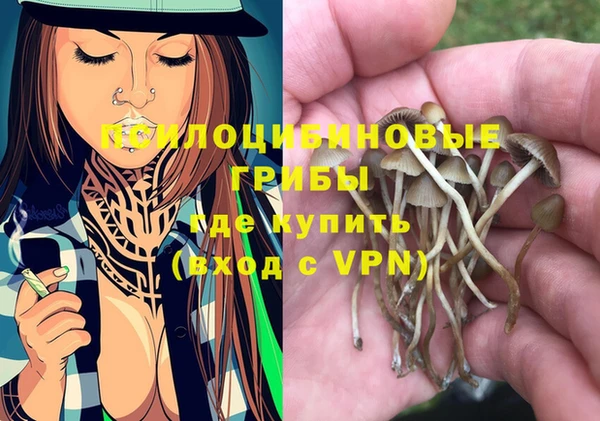 круглые Абаза